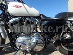     Harley Davidson XL1200L-I Sportster1200 2009  13